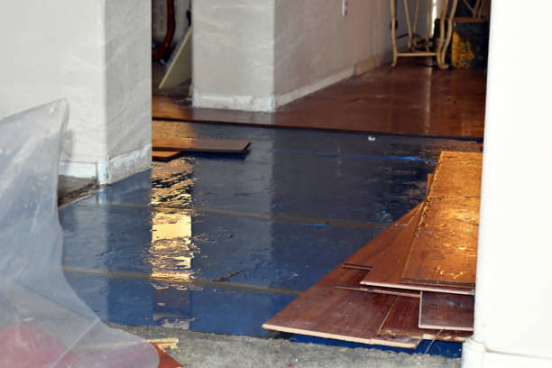 Professional Sewage Cleanup technician working in Cass City, MI